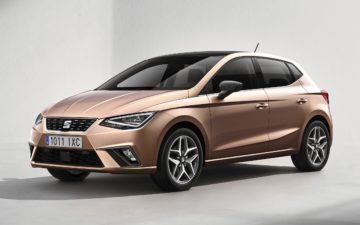 Buchen Seat Ibiza